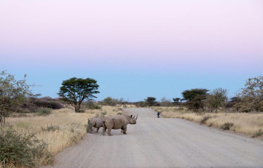 Camp Mara Hotel Omaruru Kültér fotó